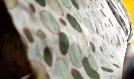 انگشت انجمنسکسی کیر تو کس ایوانز را رله کنید