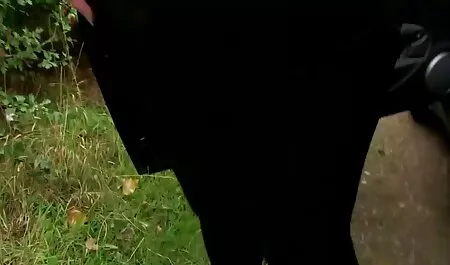 مهمانی دانلود فیلم سوپر تلگرام کلوپ شبانه با فاحشه های مستی تعطیل شد